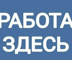 Ежедневные выплаты