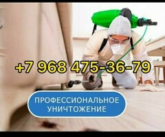 ДЕЗИНФЕКЦИЯ КЛОП ТАРАКАН КУРТ КУМУРСКА