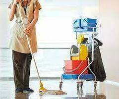 Ночной уборщик