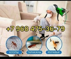 КЛОП ТАРАКАН ЖАНА БАШКА ЖАНДЫКТАРДЫ ДАРЫЛАЙБЫЗ