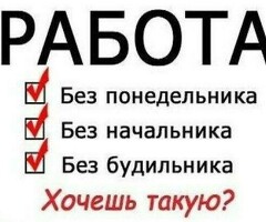 Свободный график