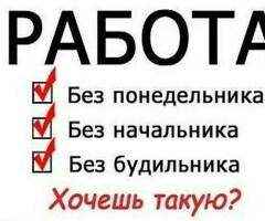 Свободный график
Выплаты ежедневно 
Быстрое оформление