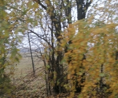 КОМНАТА БЕРИЛЕТ
