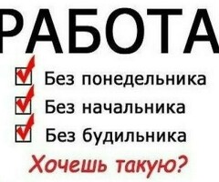 Свободный график
Выплаты каждый день