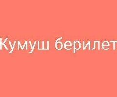 жарым-жартылай