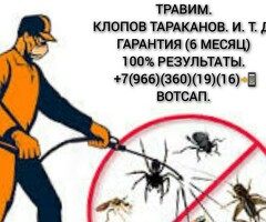 СЛУЖБА ДЕЗИНФЕКЦИЯ!!!