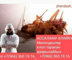КЛОП ТАРАКАН ДАРЫЛАЙБЫЗ СЕРТИФИКАТ И ГАРАНТИЯ БАР 6АЙ ИШИБИЗГЕ КЕПИЛДИК БЕРЕБИЗ 100%