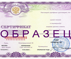 Обучение русскому языку для рвп, внж