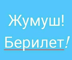 Кошумча жумуш же жумуш 
Бонус алдым