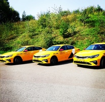 Водитель Kia Optima