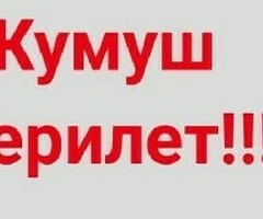 Күн сайын айлык алгыңыз келеби