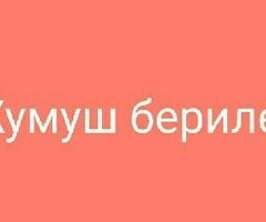 Күн сайын айлык алгыңыз келеби