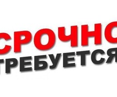 Кассир в рестарна быстрого питания БЕЗ ОПЫТА!