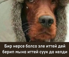 @#₽_&