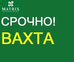 УПАКОВЩИЦЫ НА ПРОИЗВОДСТВО