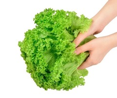 СРОЧНО ТРЕБУЕТСЯ ФАСОВЩИЦЫ (только женщины) НА ПРОИЗВОДСТВО 2100 СМЕНА (метро Котельники)