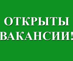 Уборщица-посудомойщица (6/1)
