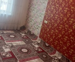 квартирант алам