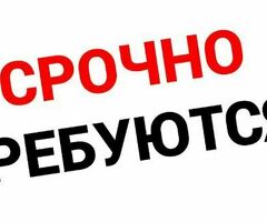 Срочно, в отдел доставки требуются «Разносчик листовок» .