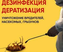 дезтнфекция