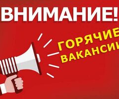 Повар в сеть ресторанов