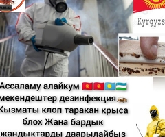 Дезинфекция кызматы клоп таракан крыса кылабыз