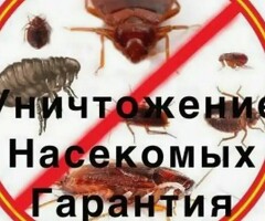 Клоп таракан дарылайбыз дезинфекции гарантия 100%