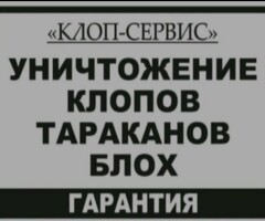 КЛОП-СЕРВИС РЕЗУЛЬТАТ 100% ГАРАНТИЯ