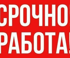 Срочно требуется администратор в суши