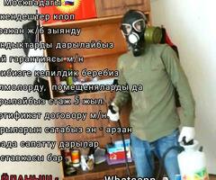 ДЕЗИНФЕКЦИЯ ДЕЗИНСЕКЦИЯ ДЕРАТИЗАЦИЯ КЛОП ТАРАКАН  ОПРЫСКИВАТЕЛЬ ГАРДЕНА  ХОЛОДНЫЙ ЖАНА ГОРЯЧИЙ ТУМАН