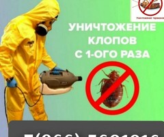 КЛОП ТАРАКАН ДАРЫЛАЙБЫЗ 100% ИШИБИЗГЕ КЕПИЛДИК БЕРЕБИЗ