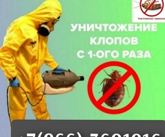 ТРАВИМ НАСЕКОМЫХ КЛОПОВ И ТАРАКАНЫ ГАРАНТИЯ 100%