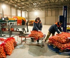 Срочно вакансии на вахте