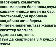квартирант алам