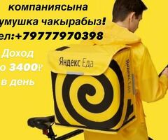 Сезон башталды