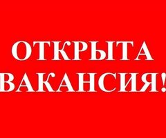 Водитель легкового такси