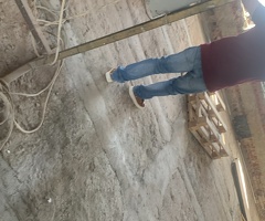 Ассаляму алейкум. Срочно БУГУНКУГО 2 разнорабочий кк.  3000ден.  Уборка. Мусор тазалаш кк.  Метро Тр