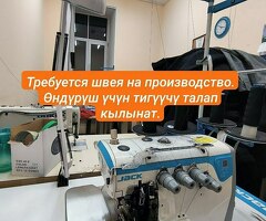 Требуется швея/Тигүүчү талап кылынат