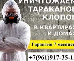 Дезинфекции клоп таракан дарылайбыз
