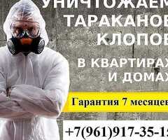 Дезинфекции клоп таракан
