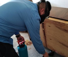 Дезинфекции клоп таракан