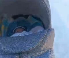 Коляска
