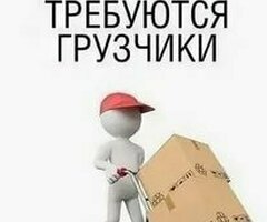 Грузчик с ПРОЖИВАНИЕМ