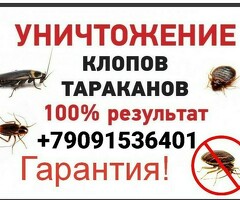 Дезинфекция клоп таракан жок кылабыз