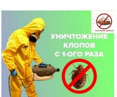 КЛОП ТАРАКАН ДАРЫЛО КЫЗМАТЫ 24/7 ИШТЕЙБИЗ ЖУМУШКА КЕПИЛДИК БЕРЕБИЗ 100%