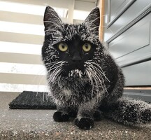 Срочно подработкага балдар