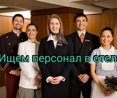 Стюард посудомойщик
