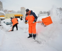 Дворник