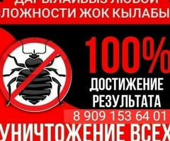 Клоп таракан жок кылам 100% гарантия менен