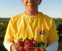 Сезонные работы